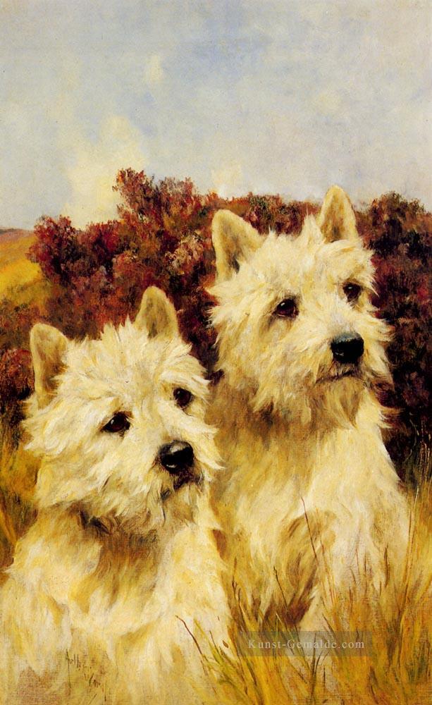 Jacque und Jean Champion Westhighland White Terrier Arthur Wardle dog Ölgemälde